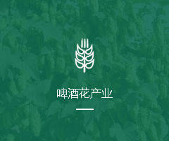 啤酒花产业