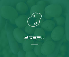 马铃薯产业