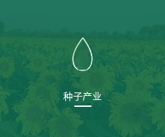 种子产业