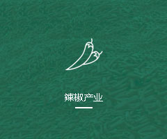 辣椒产业