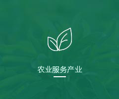 农业服务产业