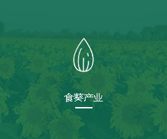 食葵产业