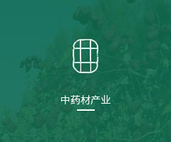 中药材产业
