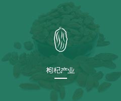 枸杞产业