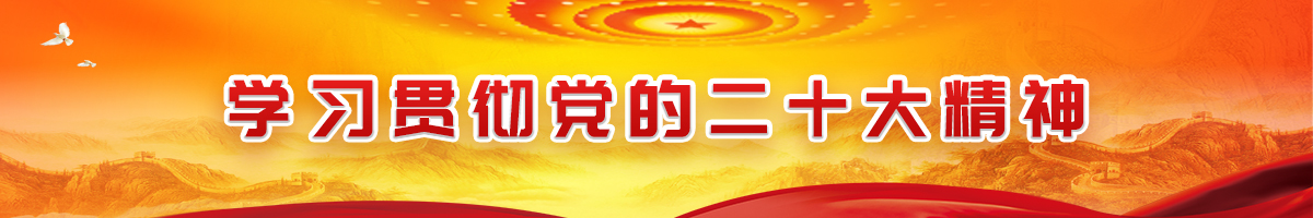 学习贯彻党的二十大精神