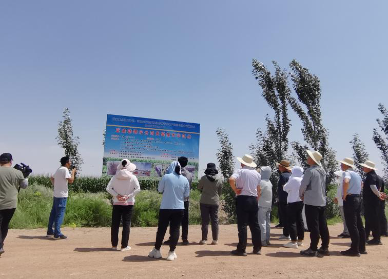 9159金莎游艺场股份公司国家重点研发计划项目2025年度 中期推进会顺利召开